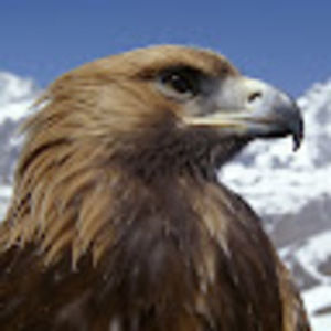 Meet your Posher, Scott